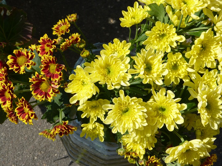 6 ������� 2016. ������ ����
August 6, 2016. The Nemtsov bridge