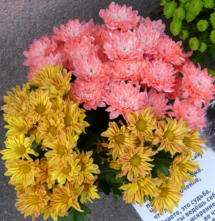 13 ������� 2016. ������ ����
August 13, 2016. The Nemtsov bridge