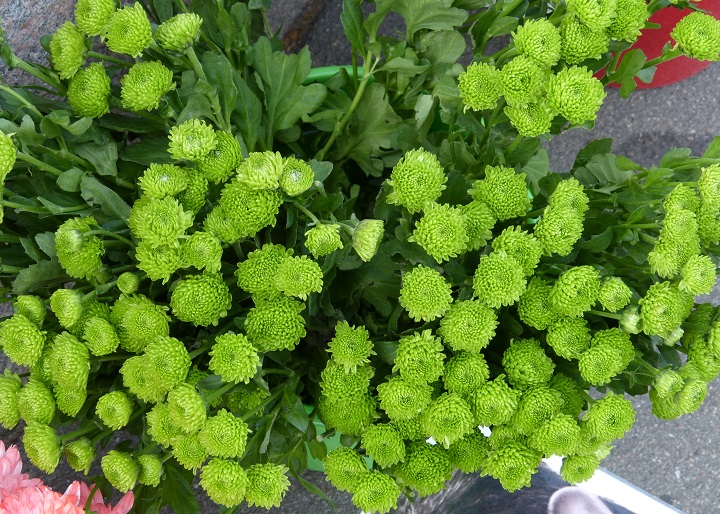 13 ������� 2016. ������ ����
August 13, 2016. The Nemtsov bridge