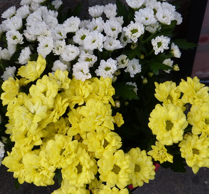 13 ������� 2016. ������ ����
August 13, 2016. The Nemtsov bridge