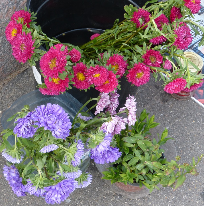13 ������� 2016. ������ ����
August 13, 2016. The Nemtsov bridge