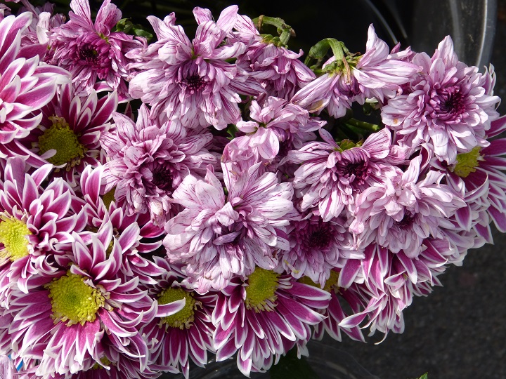 13 ������� 2016. ������ ����
August 13, 2016. The Nemtsov bridge