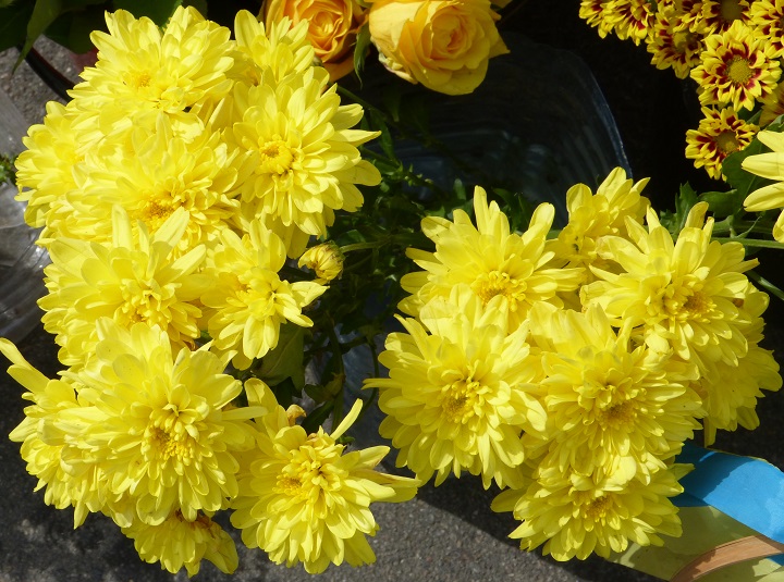 13 ������� 2016. ������ ����
August 13, 2016. The Nemtsov bridge