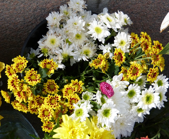 13 ������� 2016. ������ ����
August 13, 2016. The Nemtsov bridge