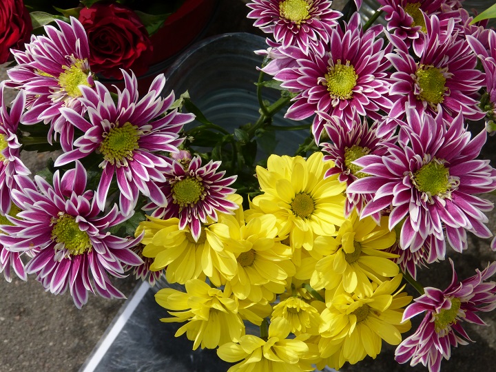 13 ������� 2016. ������ ����
August 13, 2016. The Nemtsov bridge