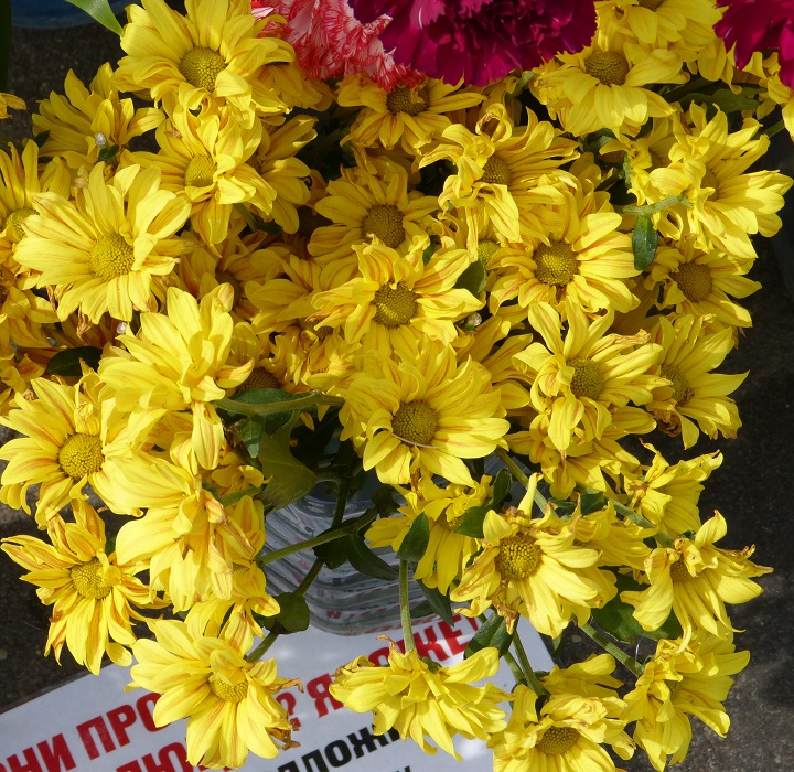13 ������� 2016. ������ ����
August 13, 2016. The Nemtsov bridge