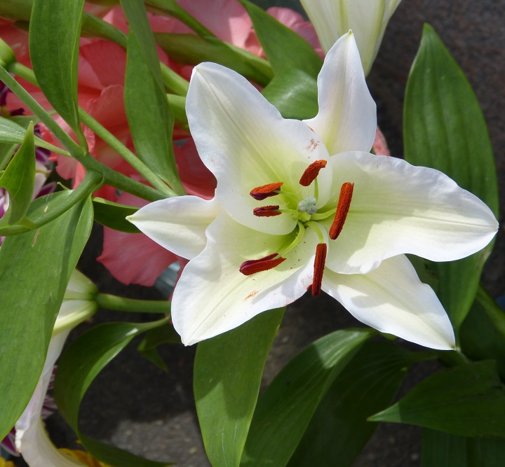 13 ������� 2016. ������ ����
August 13, 2016. The Nemtsov bridge