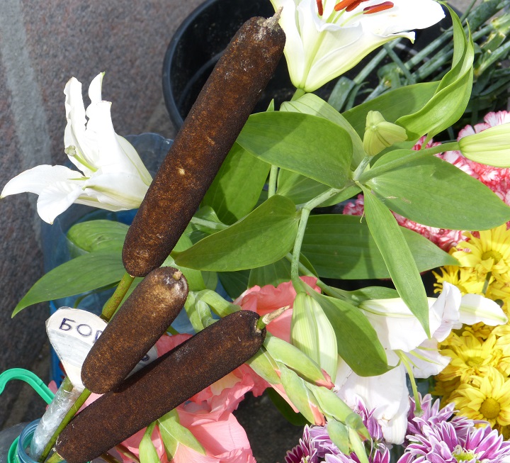 13 ������� 2016. ������ ����
August 13, 2016. The Nemtsov bridge