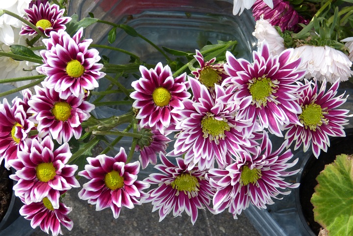 13 ������� 2016. ������ ����
August 13, 2016. The Nemtsov bridge