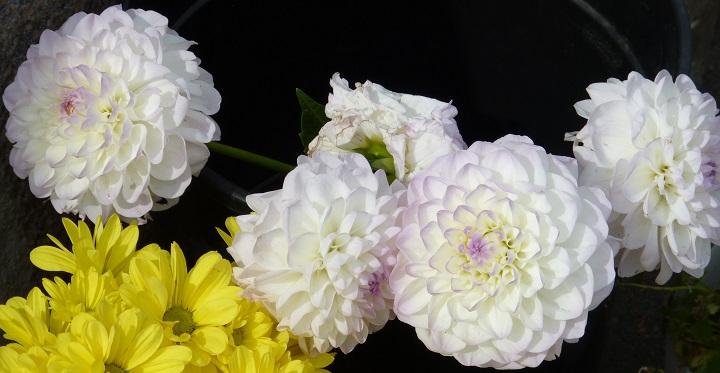 13 ������� 2016. ������ ����
August 13, 2016. The Nemtsov bridge