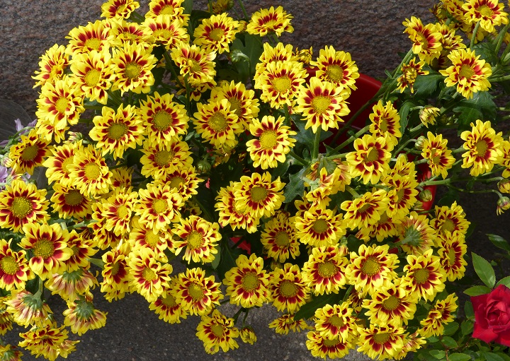 13 ������� 2016. ������ ����
August 13, 2016. The Nemtsov bridge
