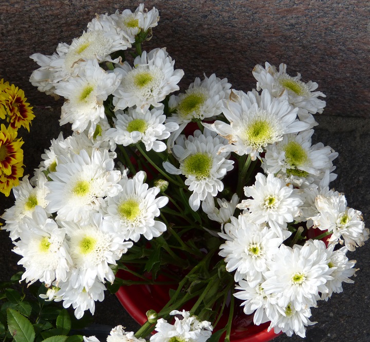 13 ������� 2016. ������ ����
August 13, 2016. The Nemtsov bridge