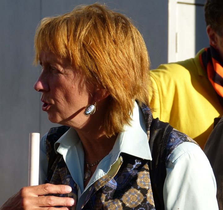 27 ������� 2016. ����� �� ����� ������
August 27, 2016. The picket for change of authority