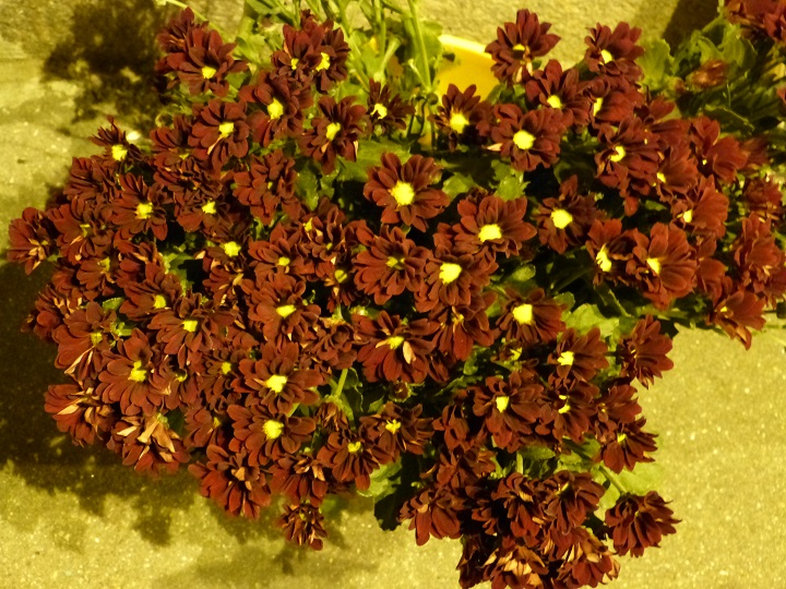 27 ������� 2016. ������ ����
August 27, 2016. The Nemtsov bridge