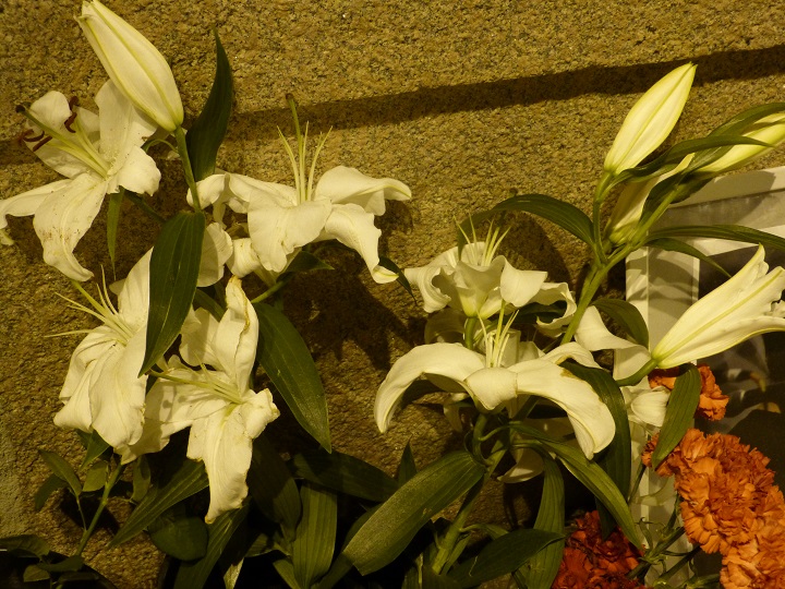 27 ������� 2016. ������ ����
August 27, 2016. The Nemtsov bridge