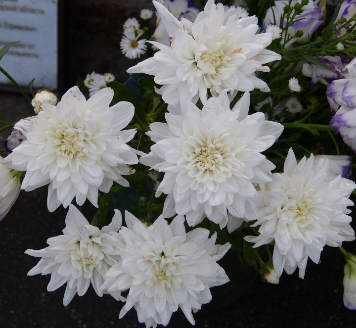 12 �������� 2016. ������ ����
September 12, 2016. The Nemtsov bridge
