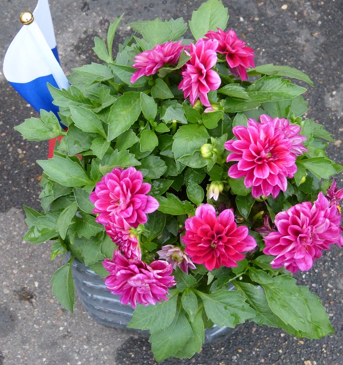 12 �������� 2016. ������ ����
September 12, 2016. The Nemtsov bridge