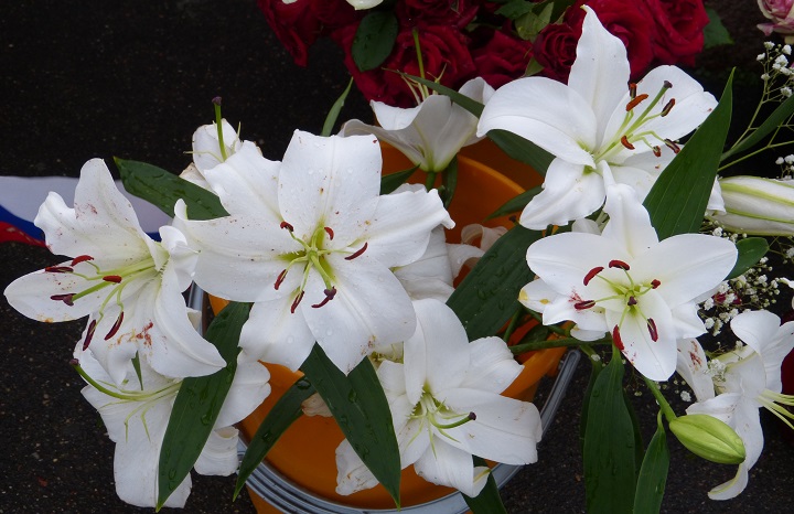 12 �������� 2016. ������ ����
September 12, 2016. The Nemtsov bridge