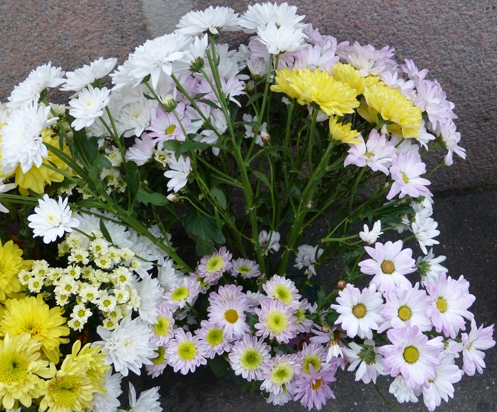 6 ������� 2016. ������ ����
October 6, 2016. The Nemtsov bridge