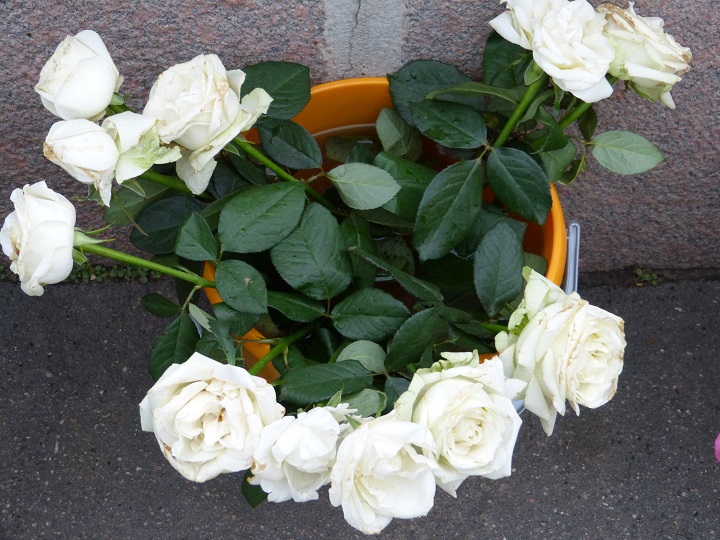 6 ������� 2016. ������ ����
October 6, 2016. The Nemtsov bridge