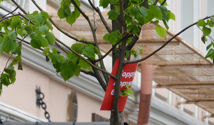 12 ���� 2017. ���� ������
June 12, 2017. Day of Russia