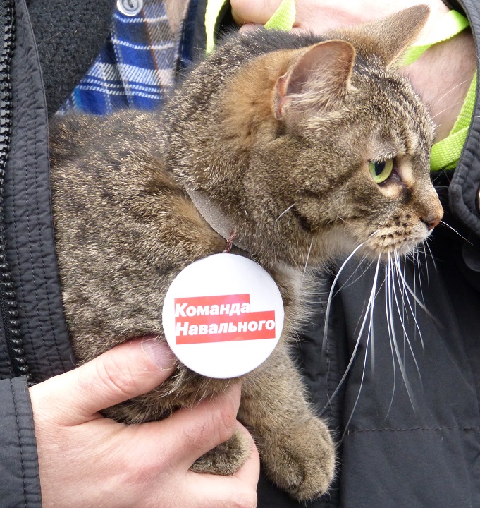 28 ������ 2018. ����� � ��������� ���������� �����������
January 28, 2018. Action in support of strike of voters