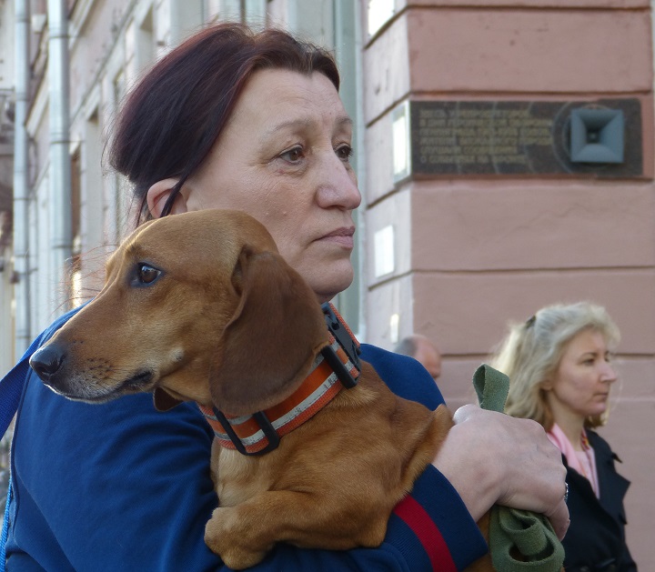 29 ��� 2019. ������ � ��������� ���� ���������
May 29, 2019. The pickets in support of Yury Dmitriyev