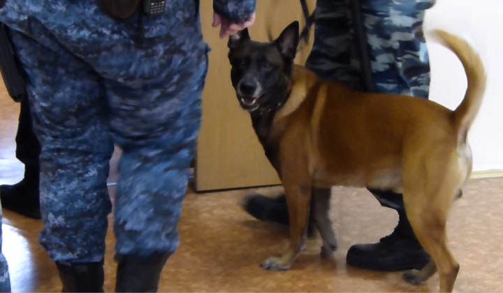 14 ����� 2023. ��� ��� ������ ����������
March 14, 2023. The trial of Oleg Belousov