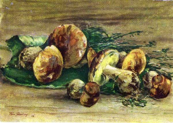 �.�.�������. �����
Mushrooms by B.N.Yakovlev