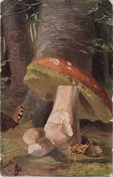 ����� �����
Tuck's Post Card. 