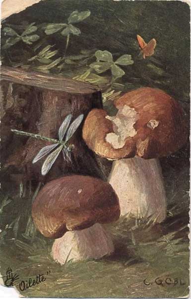 ���� �. ����� �����