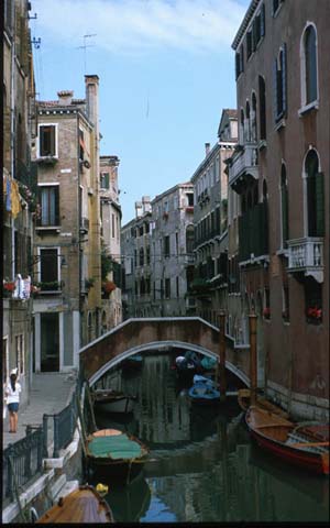 ����
bridge