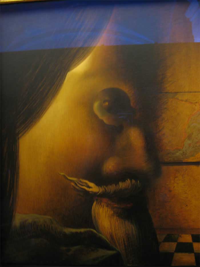 �. ����. ���������� �����
Disappearing image by Salvador Dali