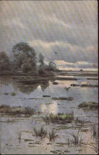 �.�.��������. ���� ��� �������