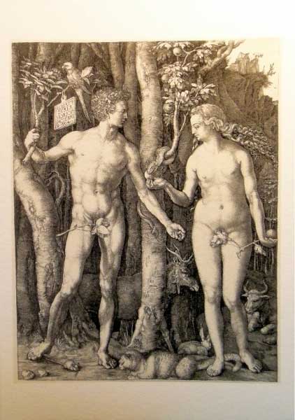�. �����. ���� � ���
Adam and Eva by Albrecht Durer