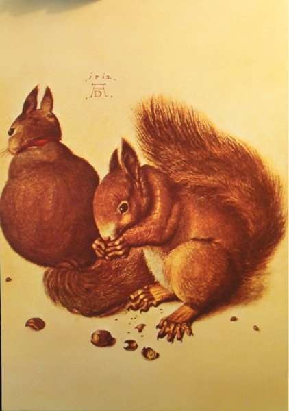 �. �����. �����
Squirrels by Albrecht Durer