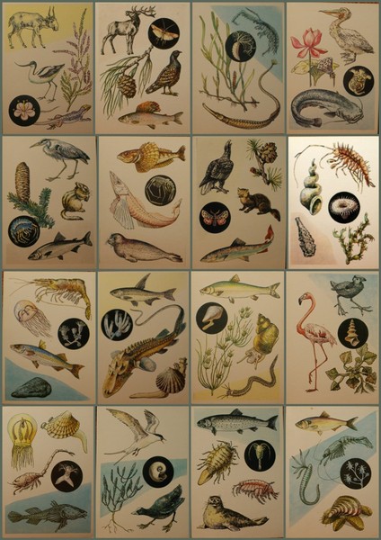 ����� �������� ���������� �. � �����
Postcard set �Z. Vorontsova. At sea�