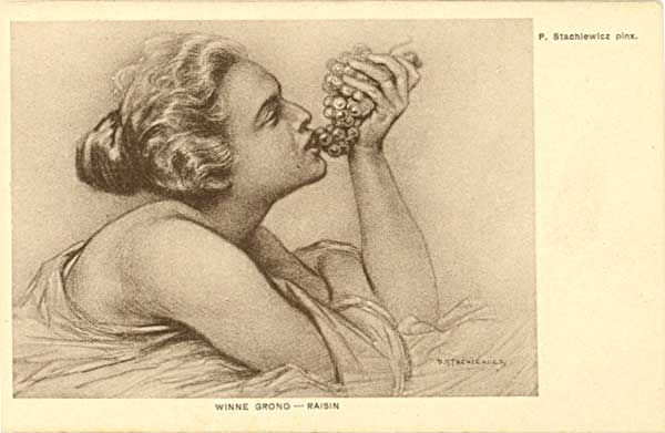 �. ��������. ����������� ������
Bunch of grapes by P. Stachiewicz