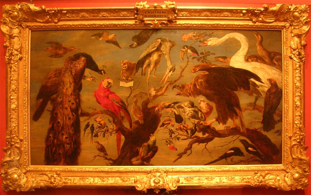 �. ��������. ������ �������
Bird concert by Frans Snyders