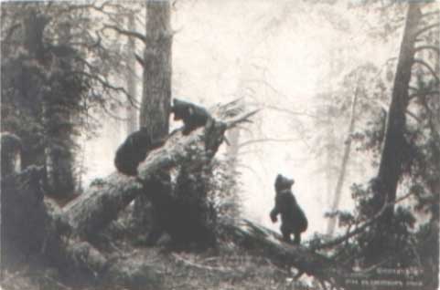 �.�.������. ���� � �������� ����
Morning in pine forest by Ivan I. Shishkin