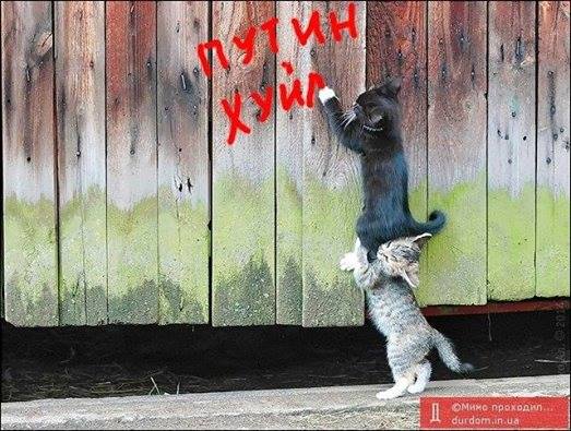 ����� ���� ��������
Putin passed by