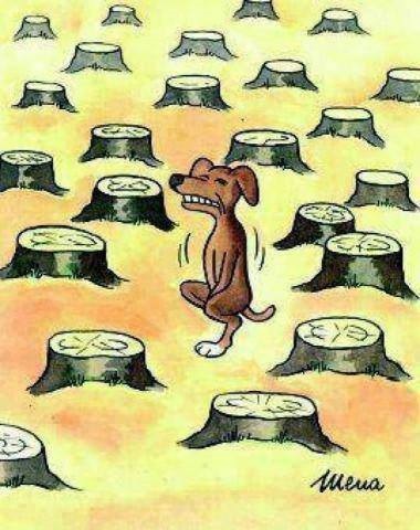 ����� �������
Among stubs