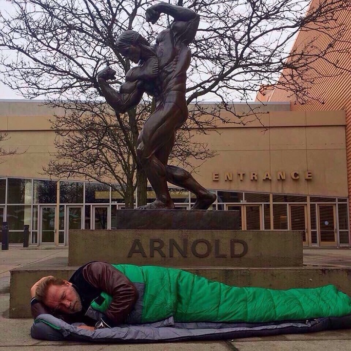 ������� ������������
Arnold Alois Schwarzenegger