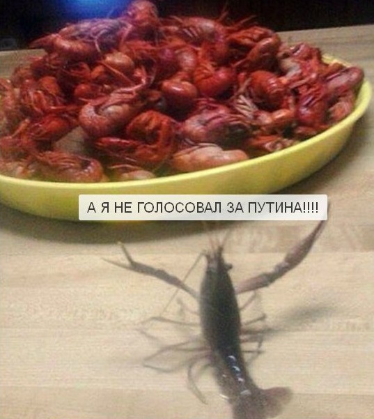 � � �� ��������� �� ������