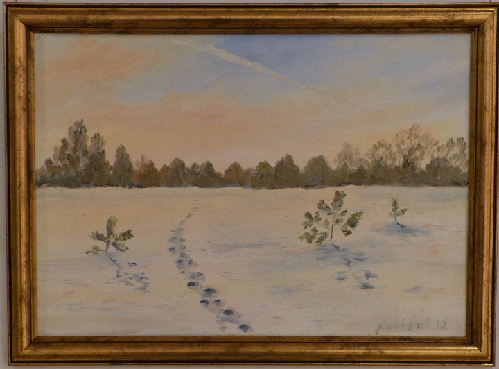 ������ ��������. ������ �� ������
Aircraft from Egypt by Michael Novitsky