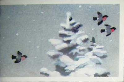 �������� ��. ����������. � ����� �����!�
Postal card �With New year! by P. Karachentsov�