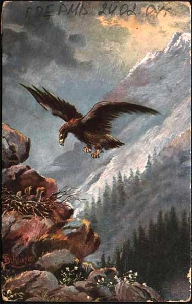 �������. ���
Eagle by Schropler