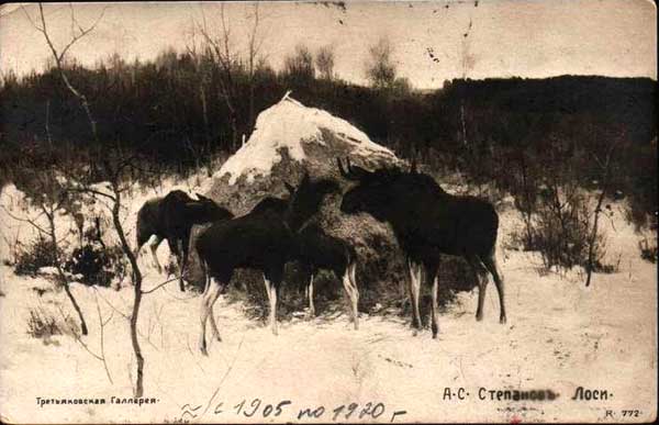 �.�.��������. ����
Elks by Alexis S. Stepanov