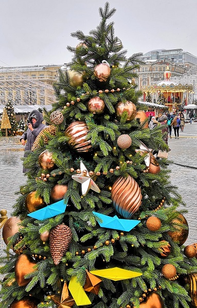 8 ������ 2019. ���������� �����
January 8, 2019. The New Year picket