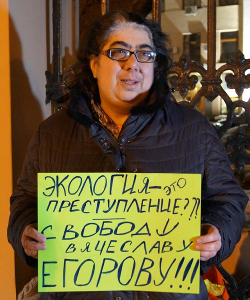 19 ������� 2019. ������ � ��������� ��������� �������
February 19, 2019. The pickets in support of Vyacheslav Yegorov